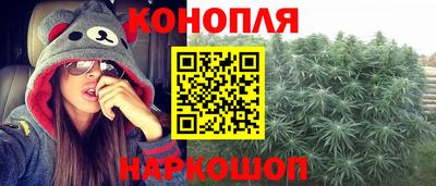 прущие грибы Дмитров