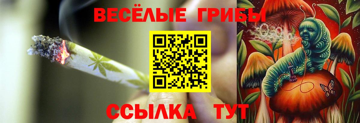 Борзя  Галлюциногенные грибы мухоморы  Вход с VPN 